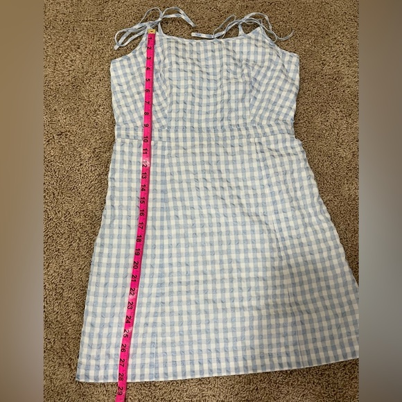 Madewell Tie-Strap Baby Doll Blue & White Sheer Gingham Mini Dress - Picture 10 of 12